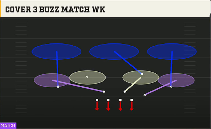 4-2-5 Shell Defense 4-2-5 Even Cover 3 Buzz Match Wk play diagram