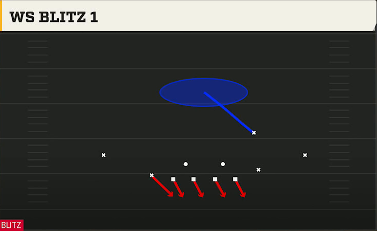 4-2-5 Shell Defense 4-2-5 Even Ws Blitz 1 play diagram