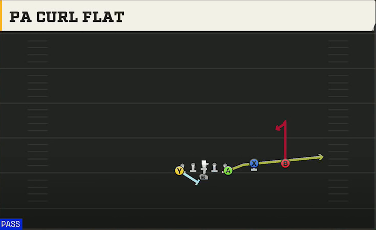 Air Force Offense Flexbone Twins Over PA Curl Flat play diagram