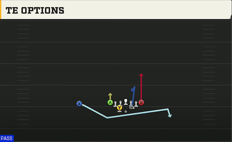 Spread Option (Alternate Offense) Goal Line Heavy TE Options play diagram
