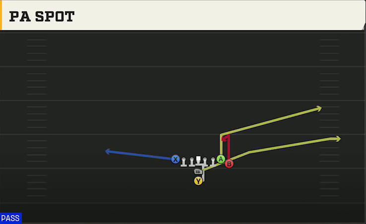 LSU Offense Goal Line Normal PA Spot play diagram