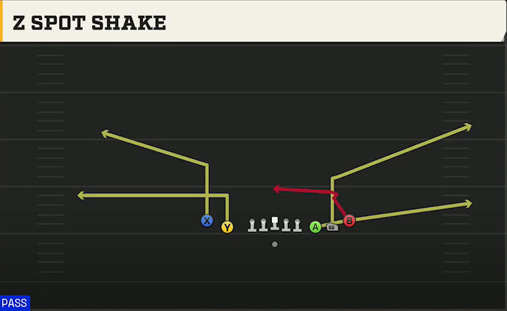 Cal Offense Gun 5WR Tight Z Spot Shake play diagram