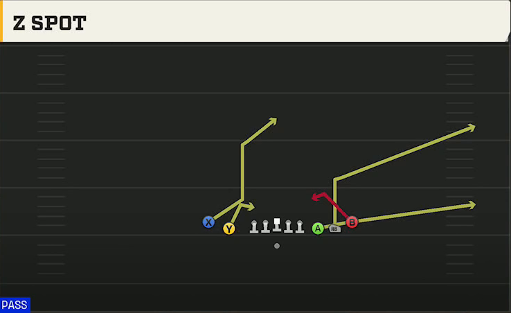 Cal Offense Gun 5WR Tight Z Spot play diagram