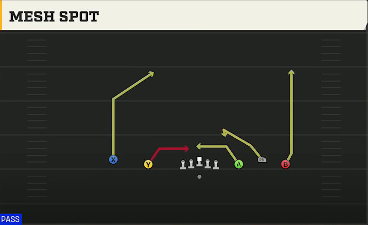 Buffalo Offense Gun Empty Trio Mesh Spot play diagram