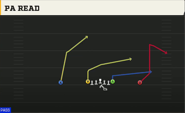 Kent State Offense Gun Ace Offset PA Read play diagram