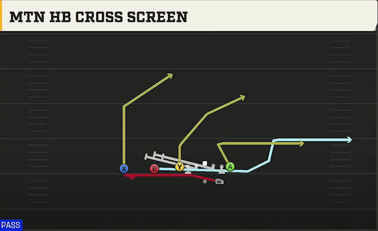 Wyoming Offense Gun Ace Slot Mtn HB Cross Screen play diagram