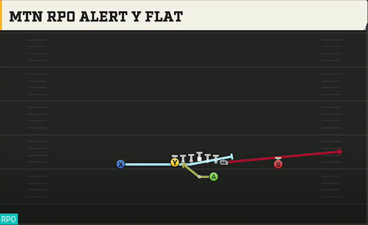 Wyoming Offense Gun Ace Mtn RPO Alert Y Flat play diagram