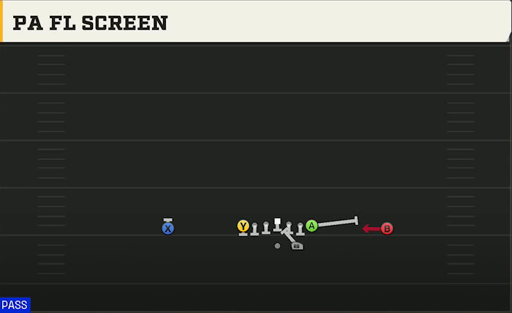 Wyoming Offense Gun Ace PA FL Screen play diagram