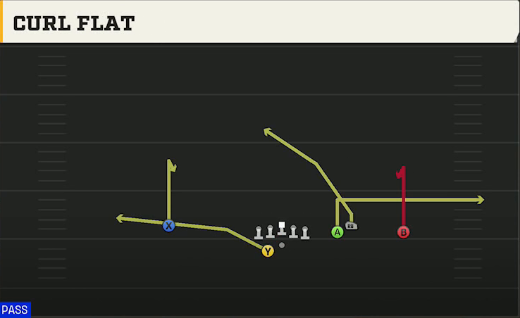 Buffalo Offense Gun Box Offset Wk Curl Flat play diagram