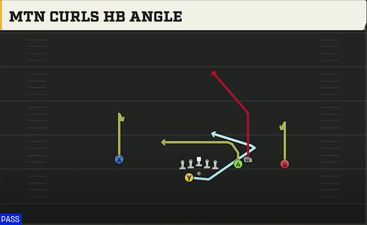 Buffalo Offense Gun Box Offset Wk Mtn Curls HB Angle play diagram