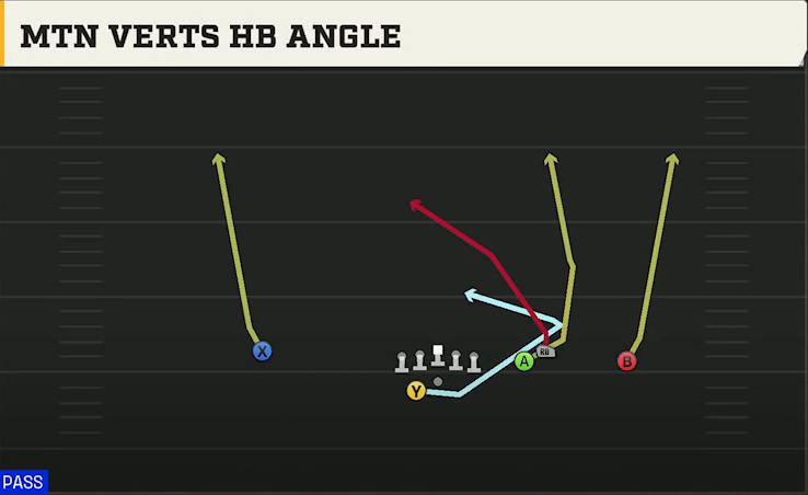 Buffalo Offense Gun Box Offset Wk Mtn Verts HB Angle play diagram