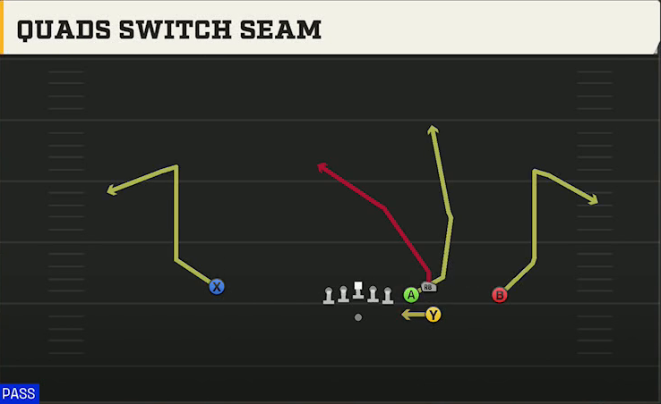 Spread (Alternate Offense) Gun Box Quads Switch Seam play diagram