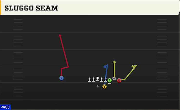 Delaware Offense Gun Bunch HB Str Sluggo Seam play diagram
