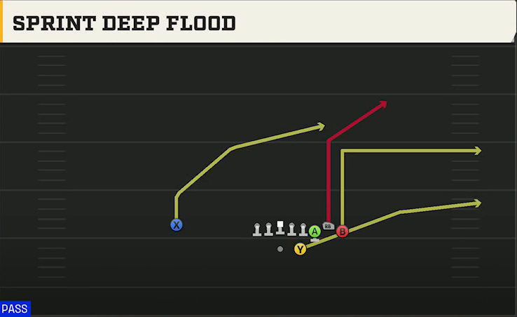Delaware Offense Gun Bunch HB Str Sprint Deep Flood play diagram
