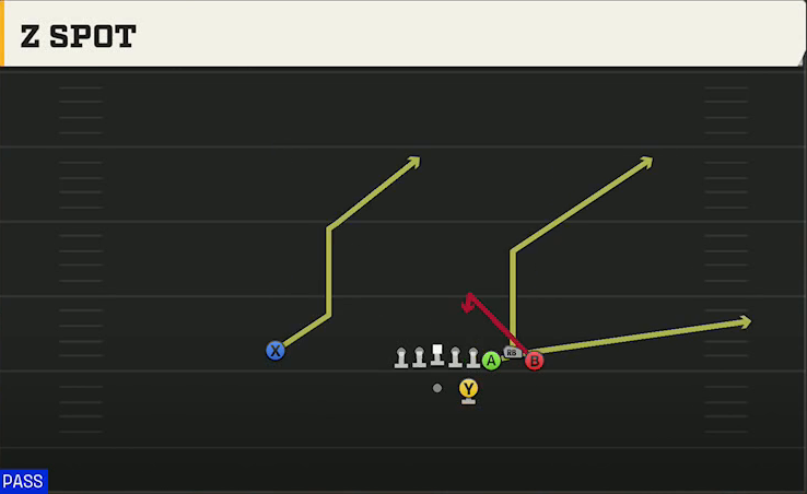 Illinois Offense Gun Bunch HB Str Z Spot play diagram