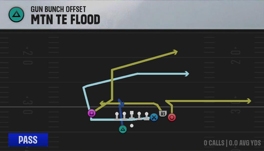 North Texas Offense Gun Bunch Offset Mtn TE Flood play diagram