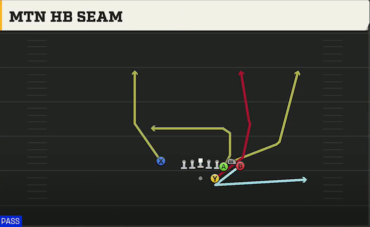 Cal Offense Gun Bunch Str Nasty Mtn HB Seam play diagram