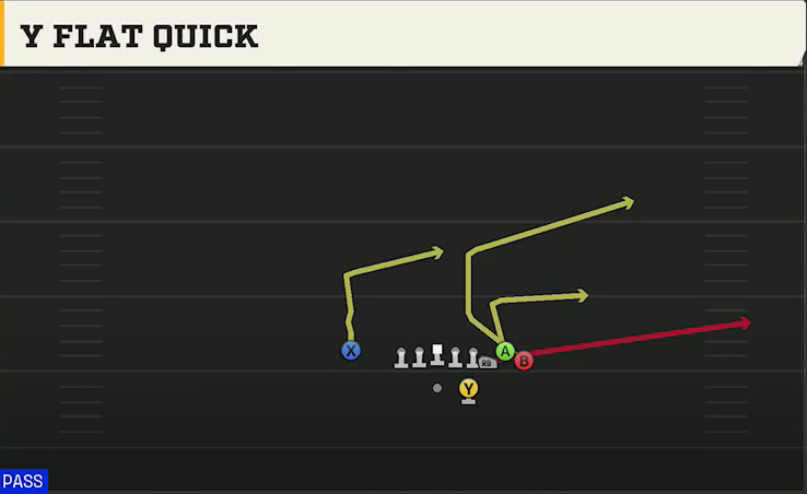 Cal Offense Gun Bunch Str Nasty Y Flat Quick play diagram
