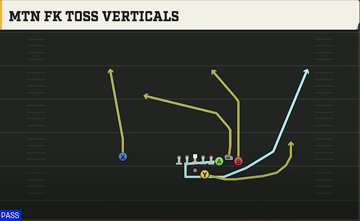 Eastern Michigan Offense Gun Bunch Str Offset Mtn FK Toss Verticals play diagram