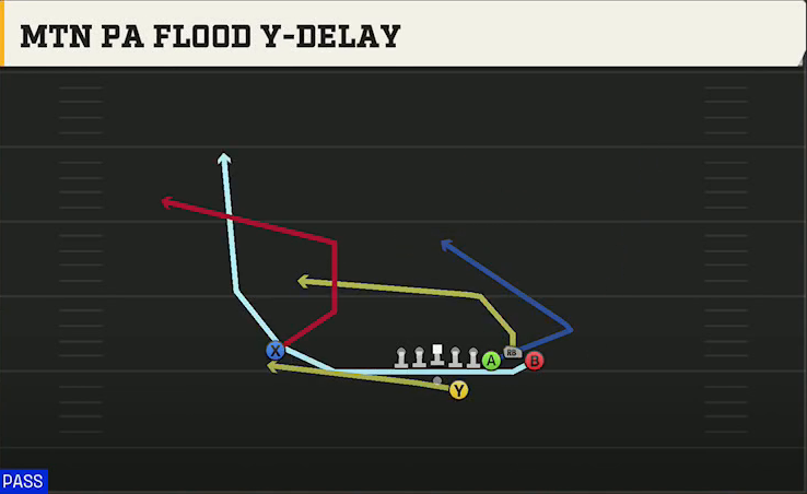 Stanford Offense Gun Bunch Str Offset Mtn PA Flood Y-delay play diagram