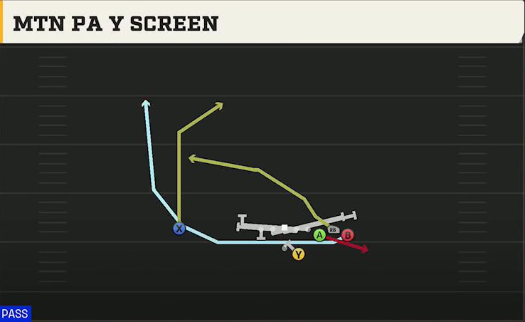 Stanford Offense Gun Bunch Str Offset Mtn PA Y Screen play diagram