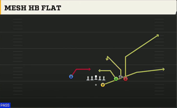 North Carolina Offense Gun Bunch Str Wide Mesh HB Flat play diagram