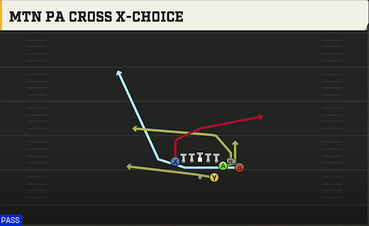 Notre Dame Offense Gun Bunch TE Str Mtn PA Cross X-choice play diagram