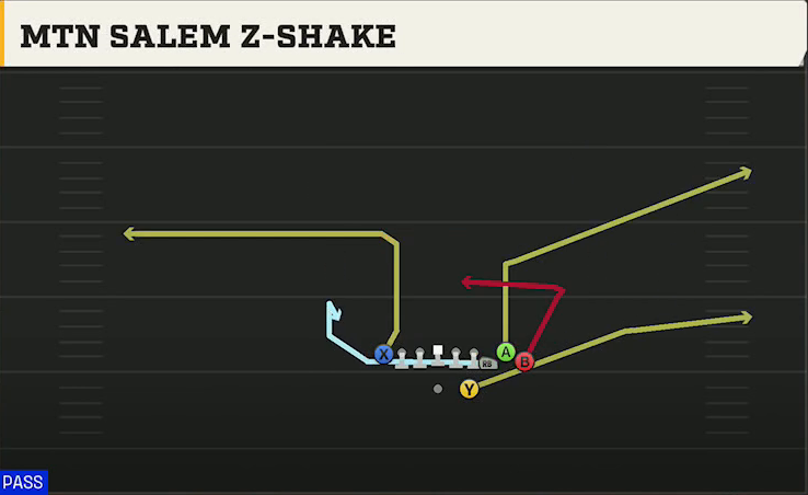 Notre Dame Offense Gun Bunch TE Str Mtn Salem Z-shake play diagram