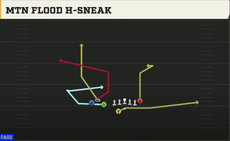 Western Michigan Offense Gun Bunch TE Wk Mtn Flood H-sneak play diagram