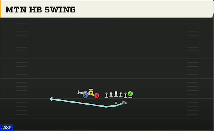 Florida Offense Gun Bunch TE Mtn HB Swing play diagram