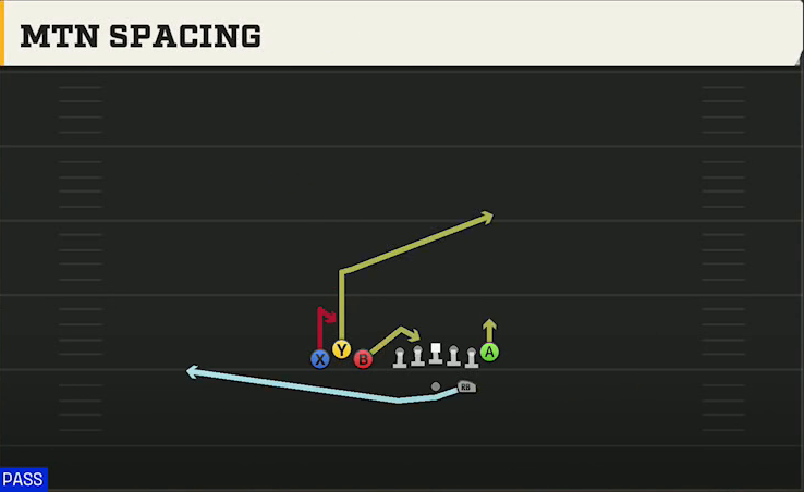 Florida Offense Gun Bunch TE Mtn Spacing play diagram