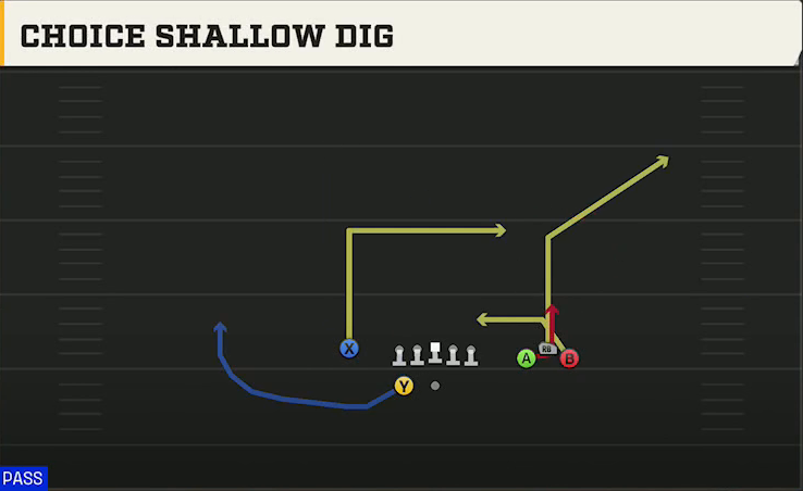 Cal Offense Gun Bunch Y-Flex Choice Shallow Dig play diagram