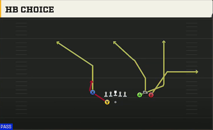 Georgia Offense Gun Bunch Y-Flex 83 HB Choice play diagram