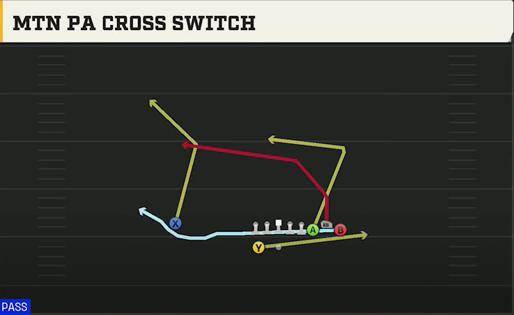 Georgia Offense Gun Bunch Mtn PA Cross Switch play diagram