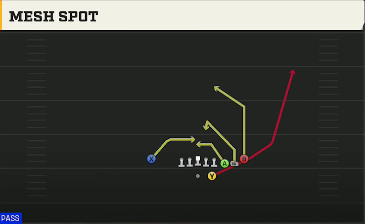 Cal Offense Gun Cluster HB Str Mesh Spot play diagram