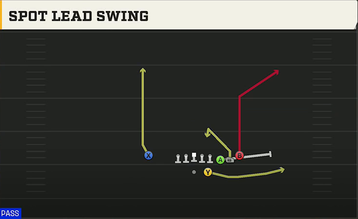 Cal Offense Gun Cluster HB Str Spot Lead Swing play diagram