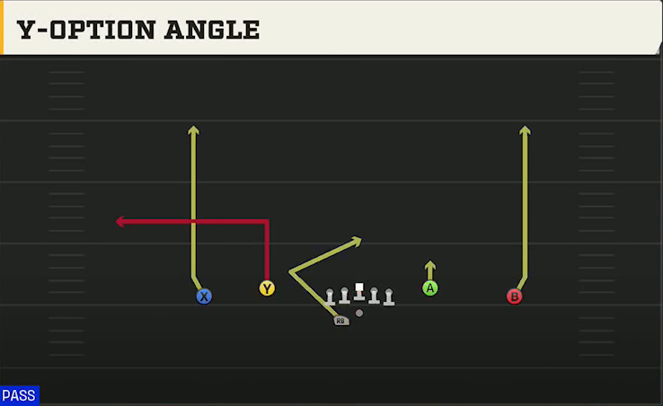 Ohio Offense Gun DBL Y Flex Off Wk Y-option Angle play diagram