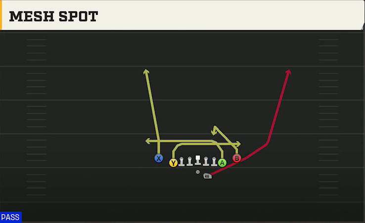 Stanford Offense Gun Deuce Close Mesh Spot play diagram
