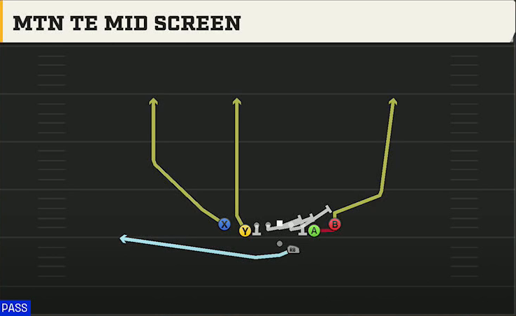 Missouri Offense Gun Deuce Close Mtn TE Mid Screen play diagram
