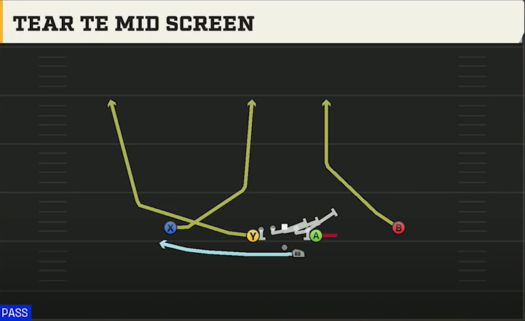 Toledo Offense Gun Deuce Tear TE Mid Screen play diagram