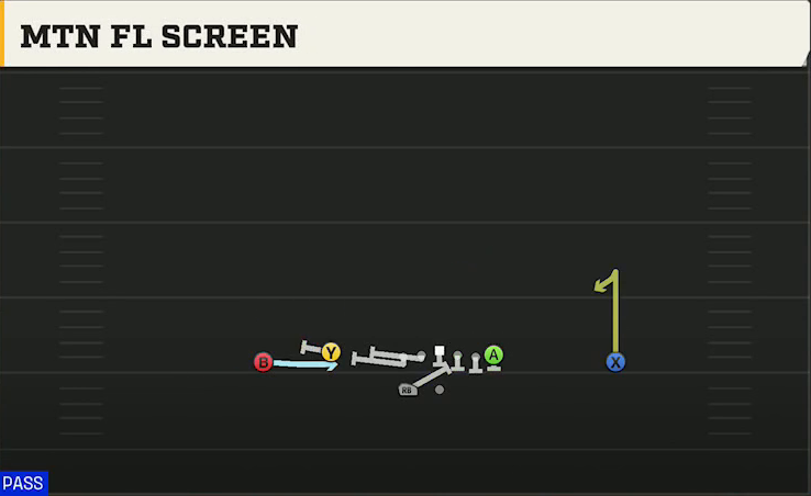 Washington State Offense Gun Doubles Flex Wk Mtn FL Screen play diagram