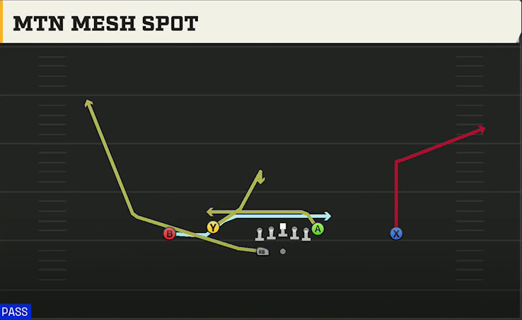 Washington State Offense Gun Doubles Flex Wk Mtn Mesh Spot play diagram