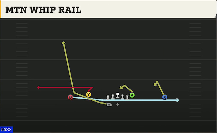 Washington State Offense Gun Doubles Flex Wk Mtn Whip Rail play diagram