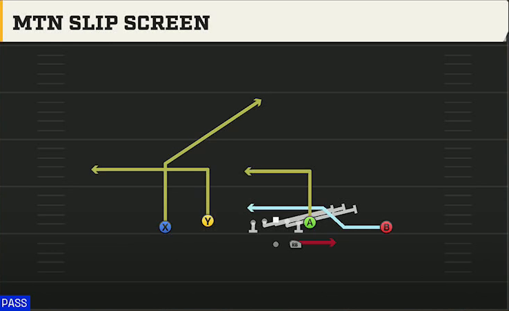 Northwestern Offense Gun Doubles Flex Mtn Slip Screen play diagram