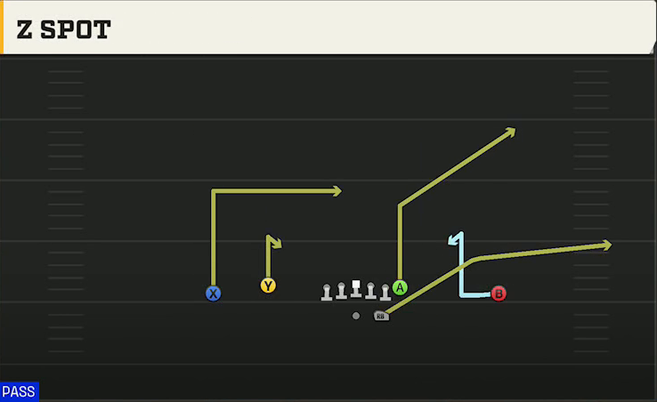 Washington Offense Gun Doubles Flex Z Spot play diagram