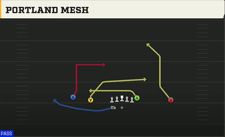 Northwestern Offense Gun Doubles HB Wk Portland Mesh play diagram