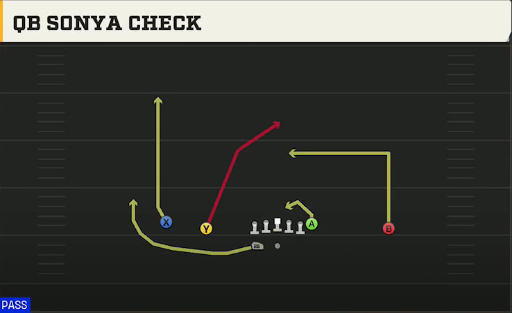 Georgia Tech Offense Gun Doubles HB Wk QB Sonya Check play diagram