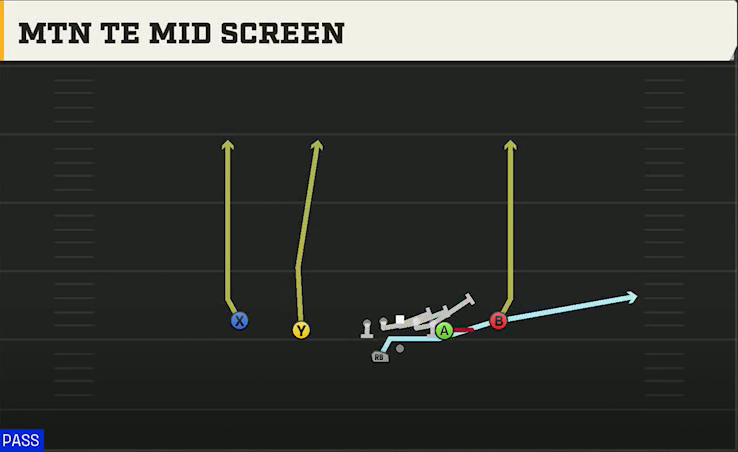 New Mexico Offense Gun Doubles Off Close Wk Mtn TE Mid Screen play diagram
