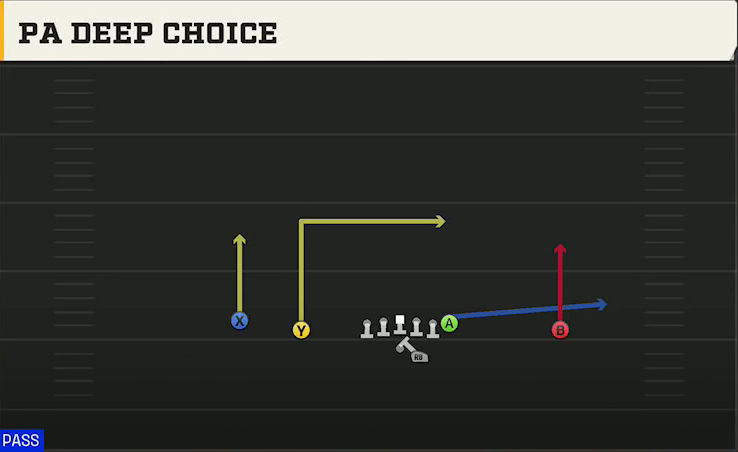 Clemson Offense Gun Doubles Offset PA Deep Choice play diagram