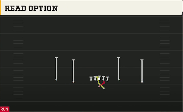 NC State Offense Gun Doubles Y-Flex Offset Read Option play diagram